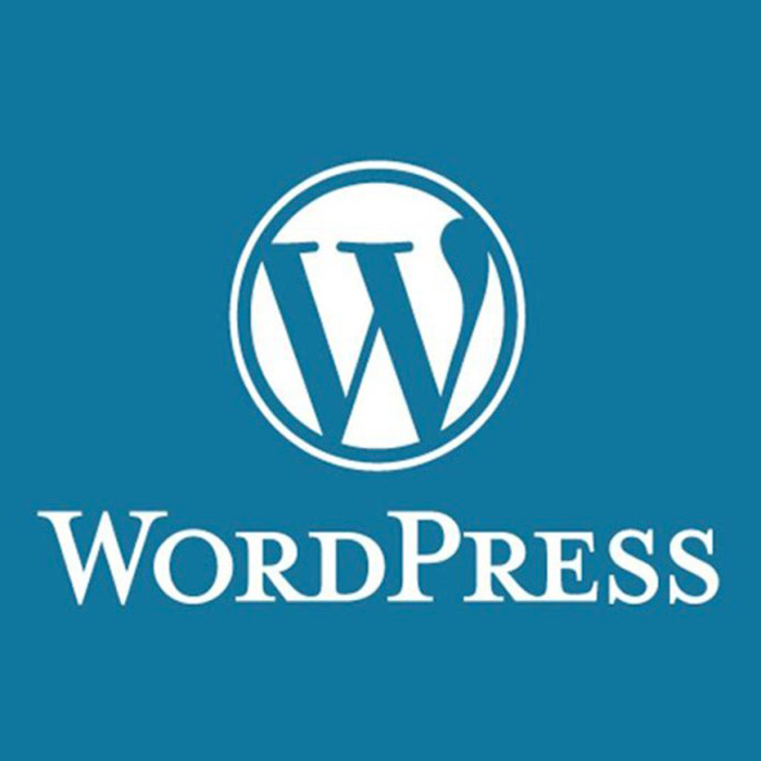 Wordpress - Talent Ninja Computing